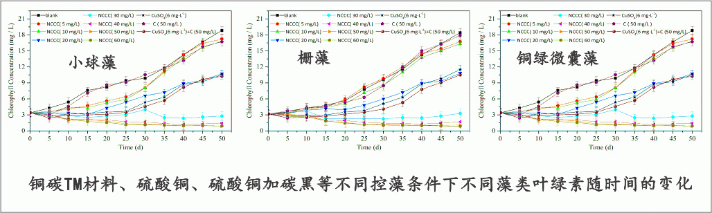 1700460272648031.jpg 477f1ad5d5eab72.jpg